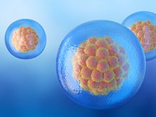 IVF Treatment best ivf centre in lucknow IVF in lucknow ivf hospital in lucknow ivf center in lucknow